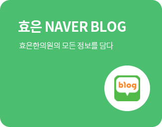 효은 Naver blog